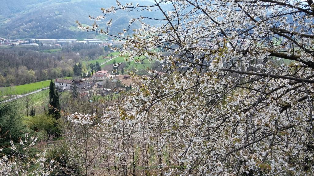 Agriturismo Il Mirabile Bed and Breakfast Trescore Balneario Zewnętrze zdjęcie
